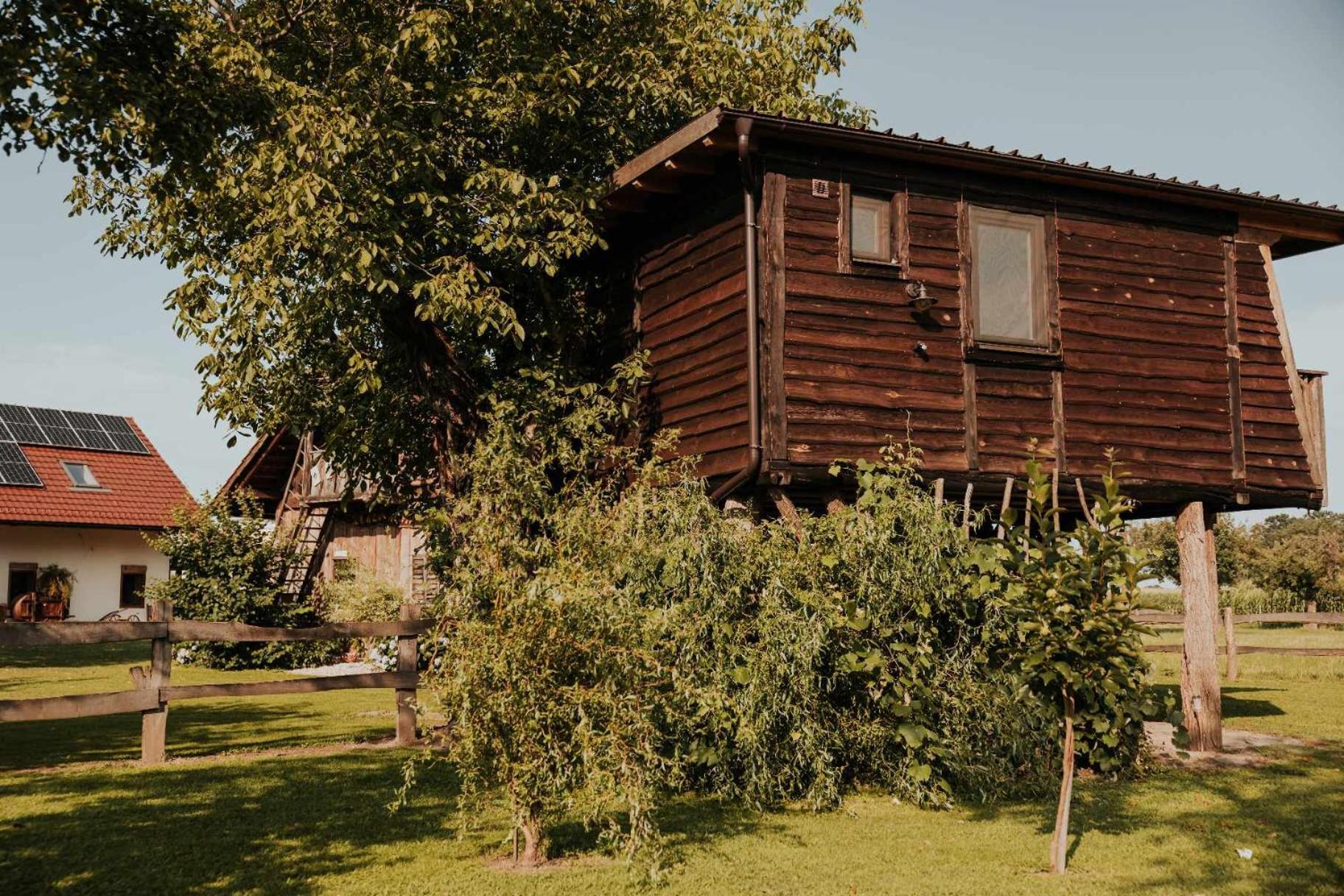 Treehouse Drevesna Hiska Strkovo Gnezdo Ranc Jures Hotel Ljutomer Kültér fotó